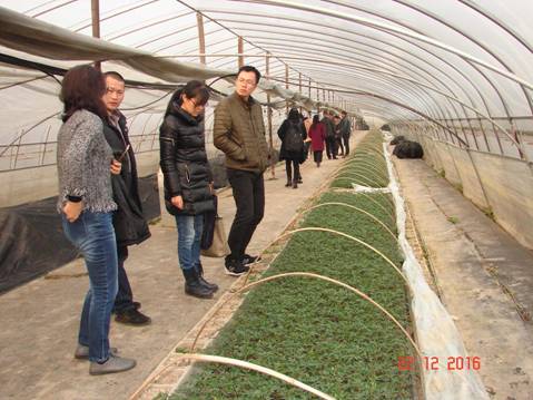 说明: C:/Users/Hongxia YE/Documents/Tencent Files/459104015/FileRecv/MobileFile/DSC04196.JPG