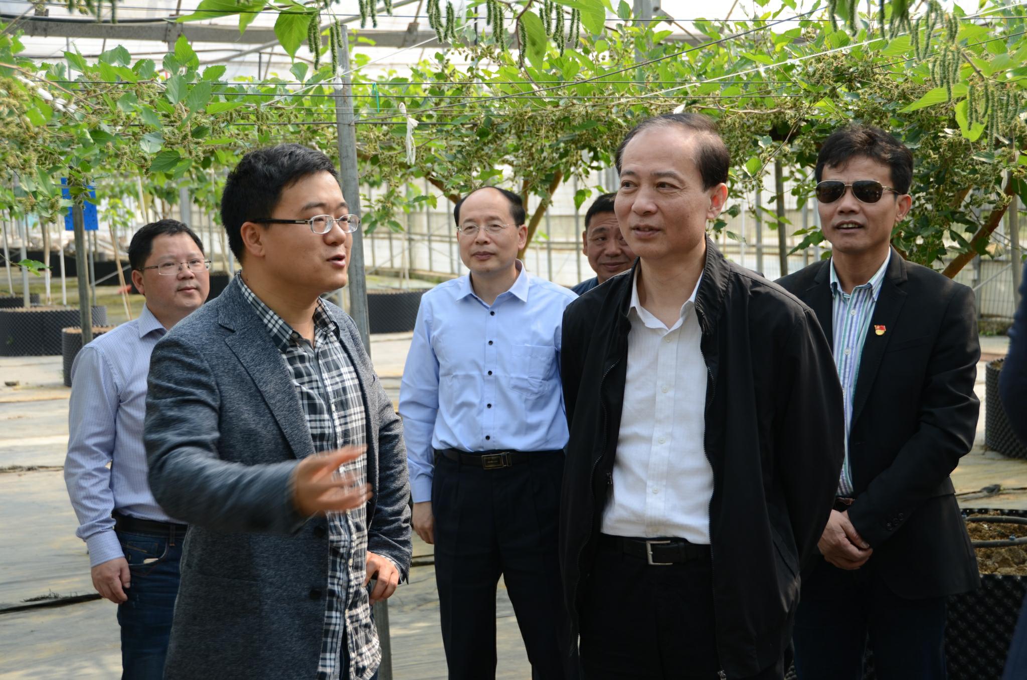 微信图片_20180419113932_看图王_爱奇艺.jpg